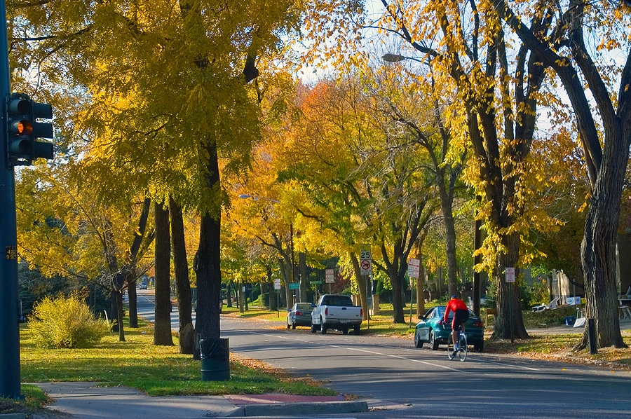 Street view of a residential street in Denver, Colorado in fall.